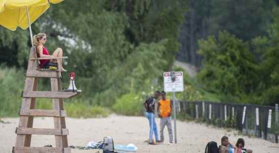 Expert to summertime swimmers Beware Great Lakes deadly rip currents