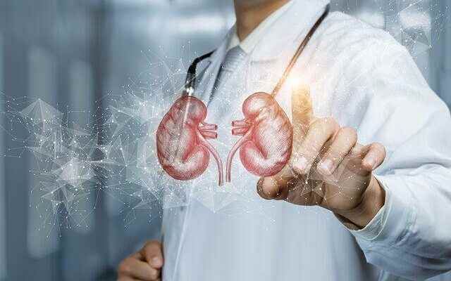 Experts warn 5 golden rules for your kidney health