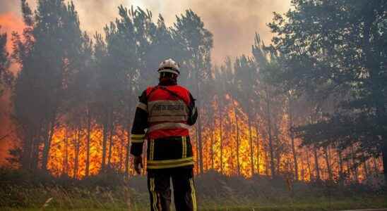 Exposure to smoke from forest fires what effects on health