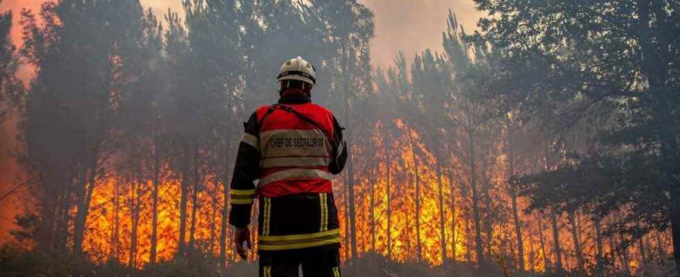 Exposure to smoke from forest fires what effects on health