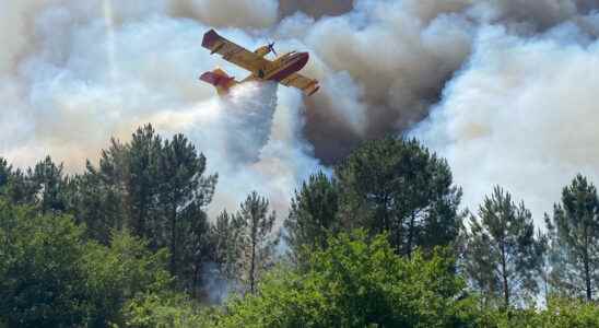 Fires in Gironde the mayor of La Teste de Buch salutes the