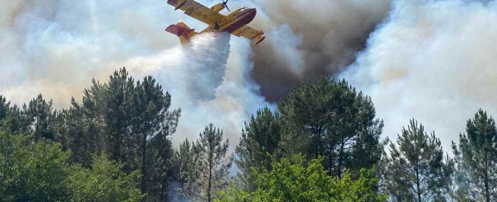 Fires in Gironde the mayor of La Teste de Buch salutes the