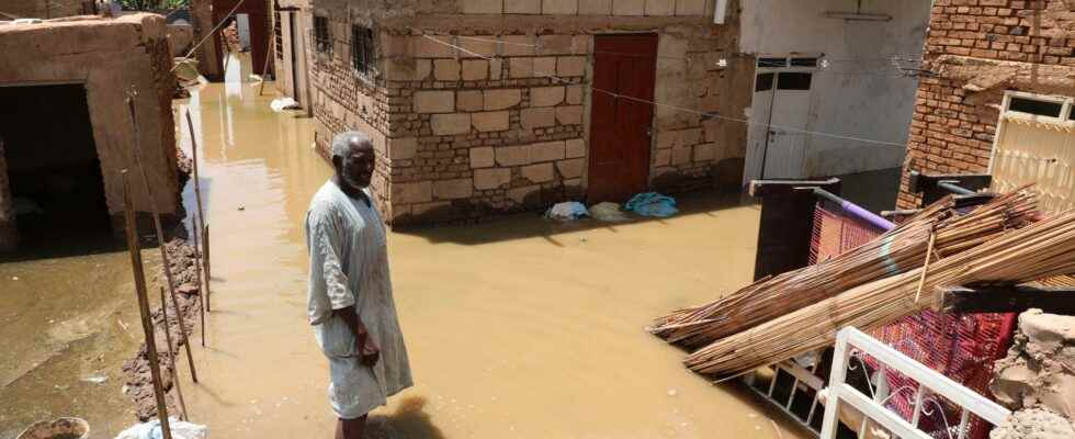 Flooding after torrential rain in Darfur