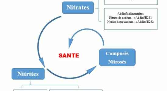 Food three questions about the link between nitrites and the