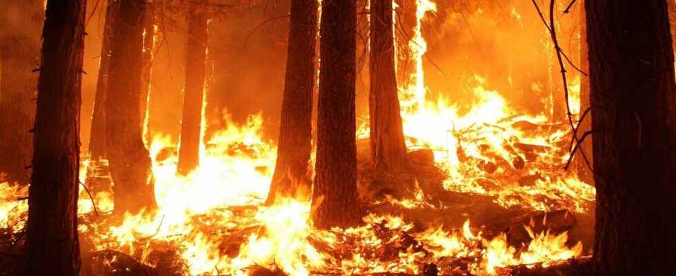 Forest fires why dry thunderstorms are dreadful