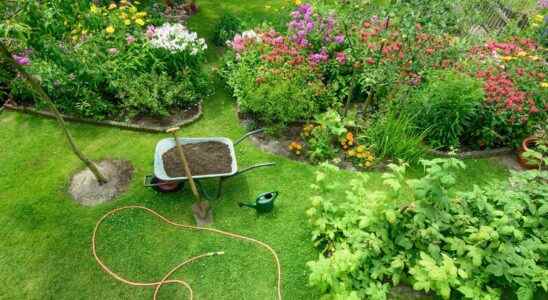 Gardening 8 tips to prepare your garden before going on