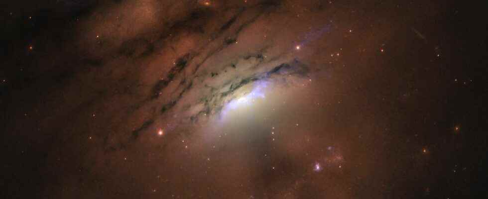 Giant black holes at the center of galaxies influence star