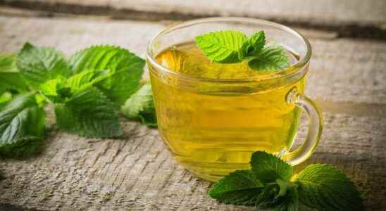 Impressive benefits of drinking mint water in all seasons It