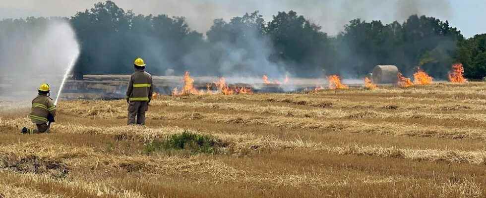 In brief fatal ATV crash south of Petrolia wheat field