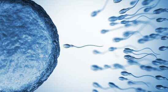 It is possible to increase sperm quality Avoid these