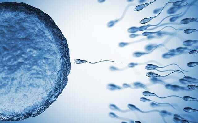 It is possible to increase sperm quality Avoid these