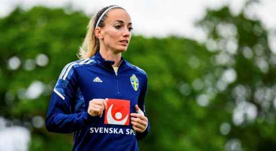 Kosovar Asllani does not believe in a new Zlatan debacle