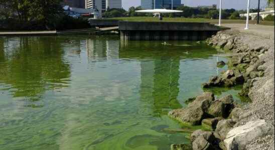 Lake Erie bacteria bloom expected to be moderate