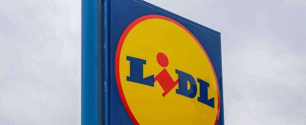 Lidl catalog promotions of the week until August 2