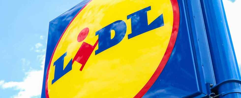 Lidl catalog promotions of the week until July 12