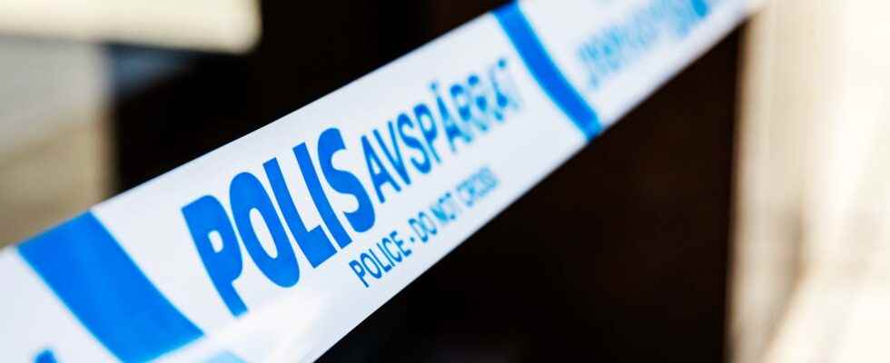 Man dead suspected murder at campsite