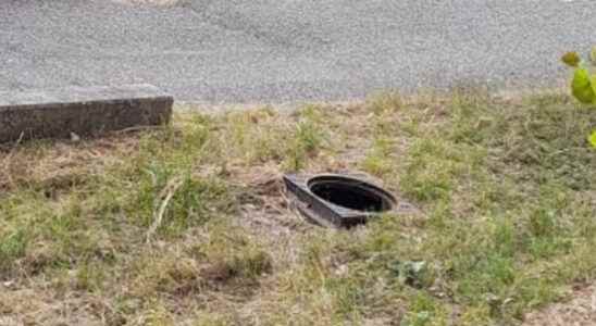 Manhole cover thief active in Stichtse Vecht Too crazy for