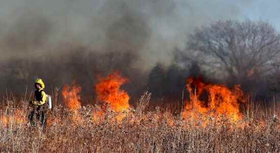 Many countries are inspired by Portugal to fight the fires