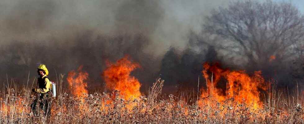 Many countries are inspired by Portugal to fight the fires