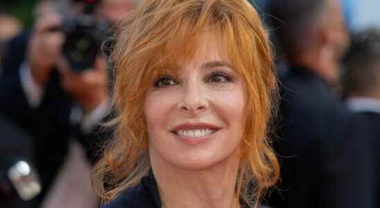 Mylene Farmer who is Benoit Di Sabatino her companion