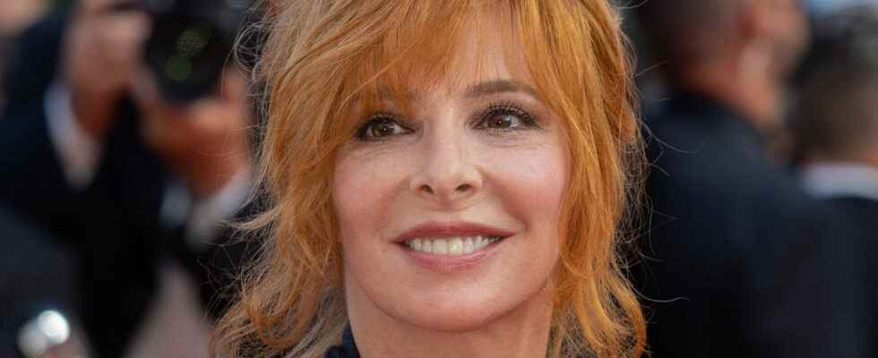 Mylene Farmer who is Benoit Di Sabatino her companion