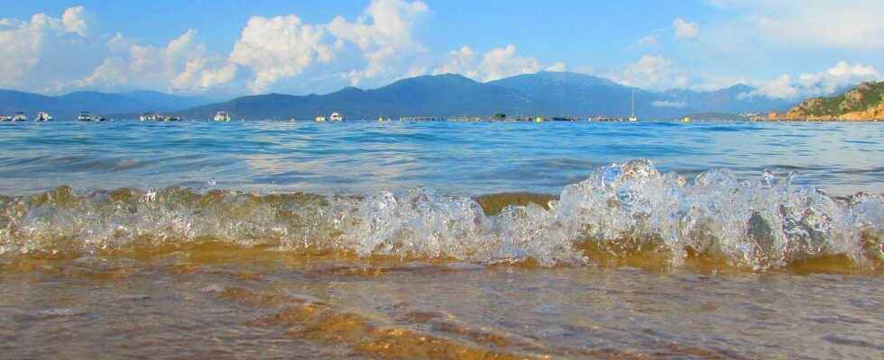 Overheating of the Mediterranean Sea more than 30°C