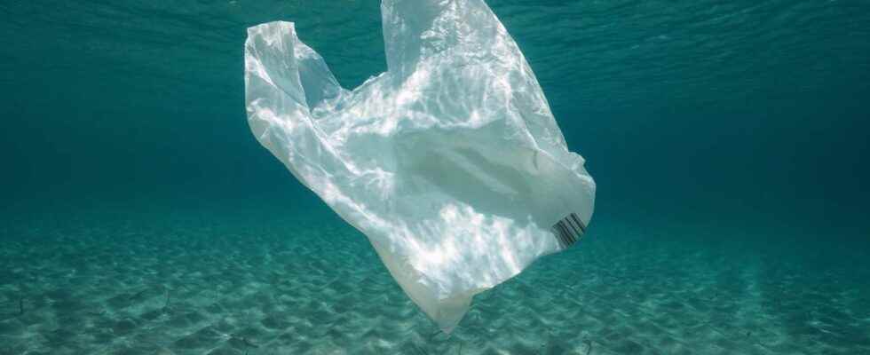 Plastic bags that dissolve in water