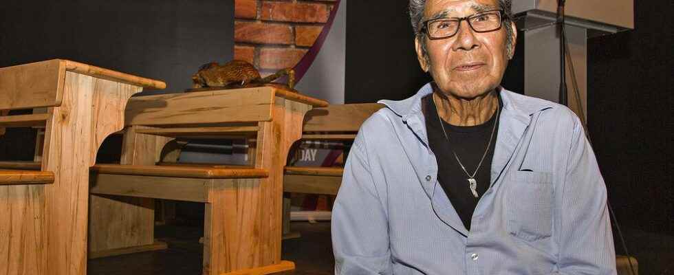 Popes apology falls short says residential school survivor