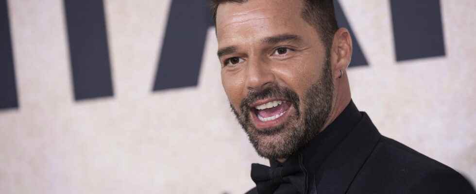 Ricky Martin accused of incest what we know