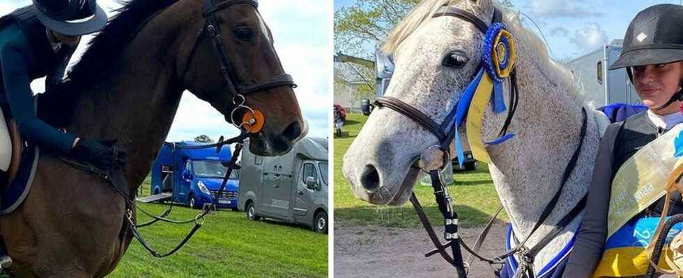 Scanian competition horses disappeared the police suspect aggravated theft