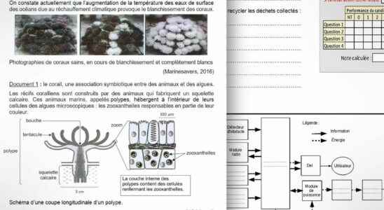 Science technology patent 2022 the subjects and corrected in