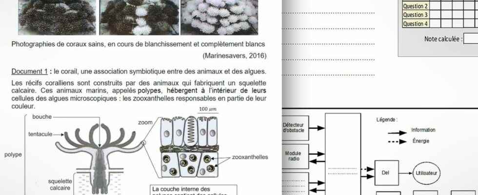 Science technology patent 2022 the subjects and corrected in