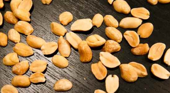 Served peanut cake for allergy sufferers doomed