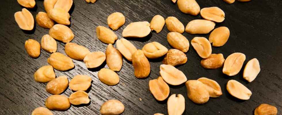 Served peanut cake for allergy sufferers doomed