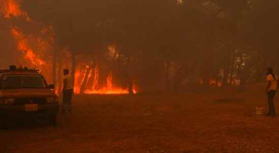 Several fires in Greece tourists evacuated