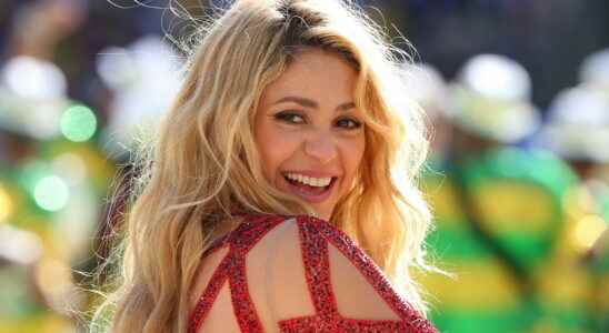 Shakira gets custody of her children at what price