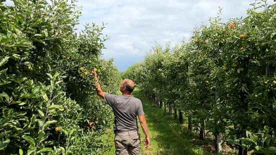 Spraying spraying spraying this is how fruit grower Oskam saved