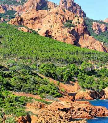 The Esterel ledge Alpes Maritimes