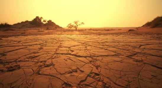 The current arid zones are a glimpse of what will