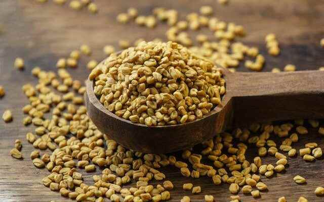 The most effective pain reliever in nature What is fenugreek