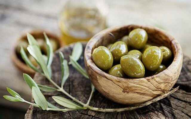 The overlooked harm of the miracle olive a panacea If