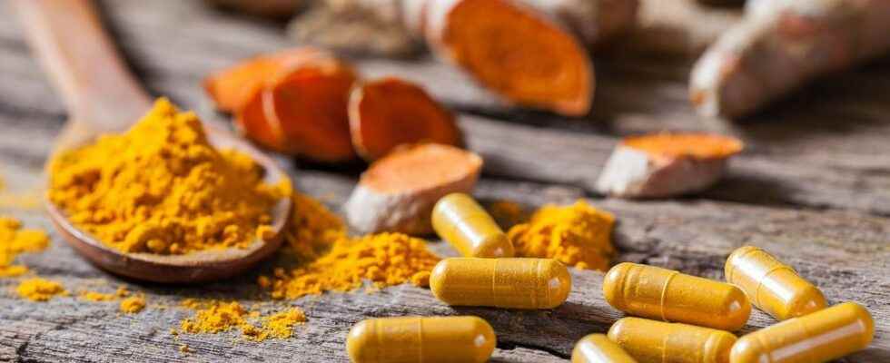 Turmeric food supplements ANSES calls for vigilance