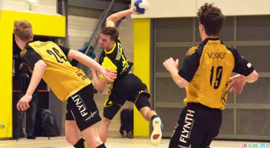 Two reinforcements for The DomeHandball Houten