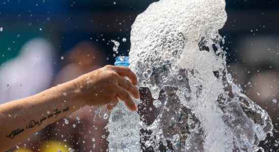 Water bottles which ones are identified with plastic microparticles