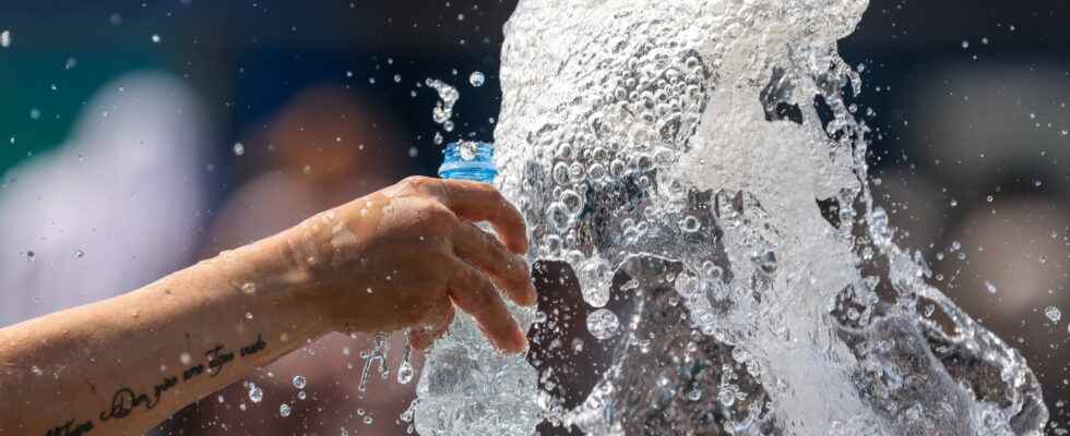 Water bottles which ones are identified with plastic microparticles