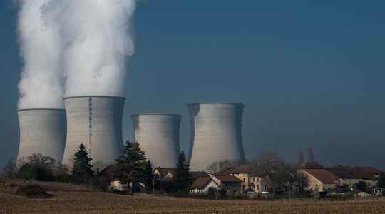 What will change the green label for gas and nuclear