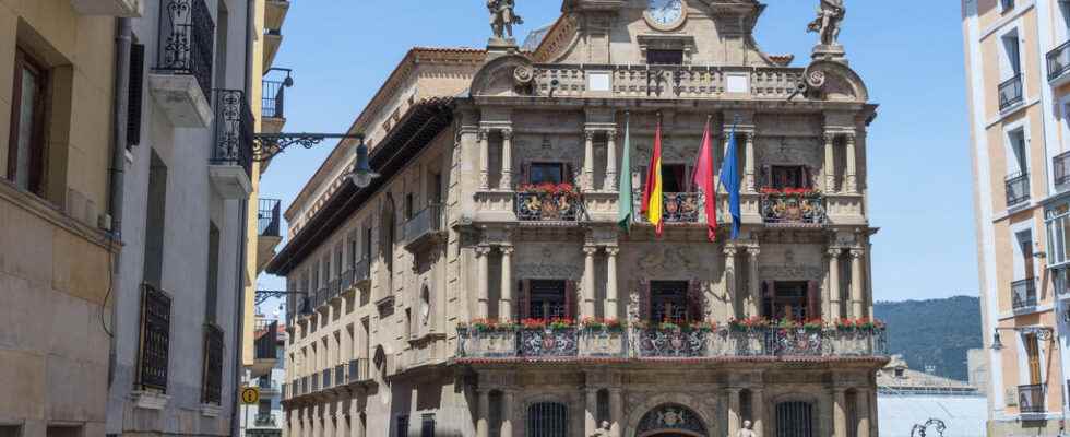 Wild bites reported during the Pamplona festivities in Spain