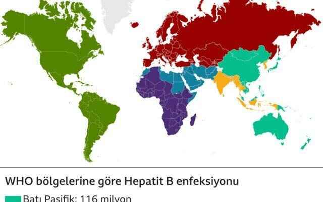 World Hepatitis Day How to protect yourself from the disease