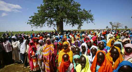 a tribal dispute over land in the East leaves at