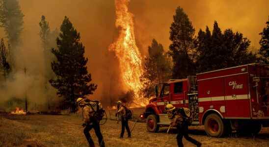 can the fires reach the national park